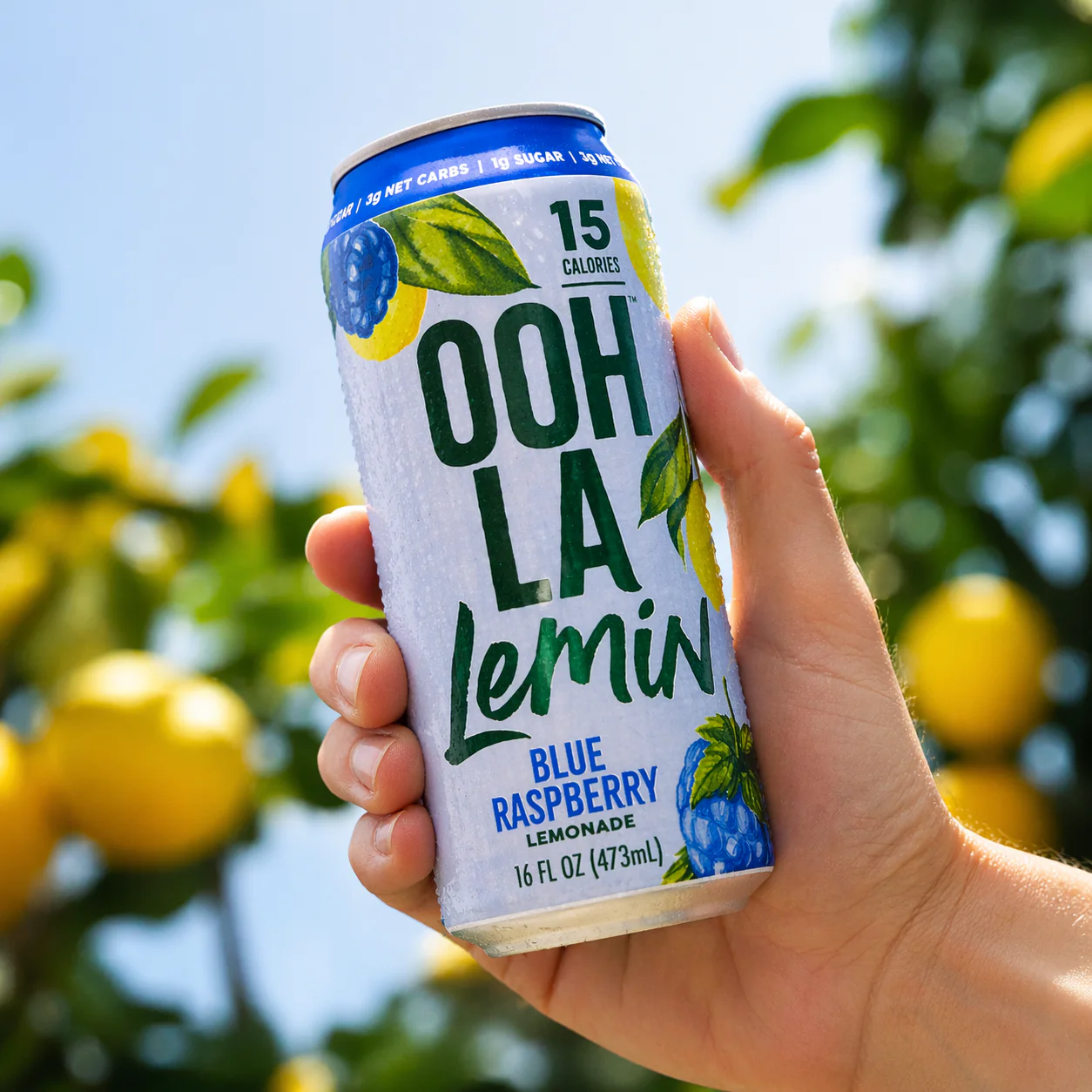 Blue Raspberry Lemonade - Image 3